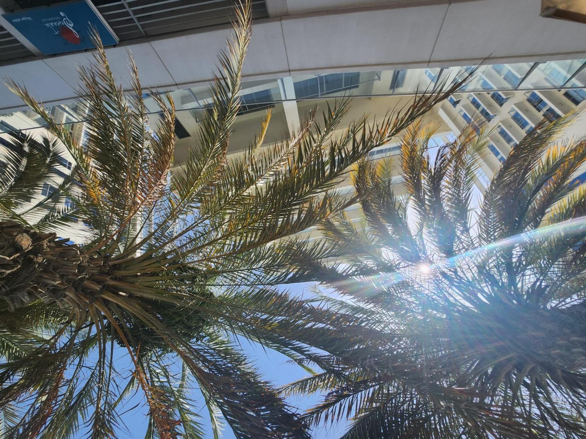 Marjan Island Beautiful Apartment Sea Side View Beach Luxury Rooms Ras Al Khaimah Uae Kültér fotó